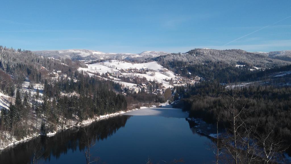 Rezydencja Prezydenta Rp Zamek W Wisle Wisla Exterior photo